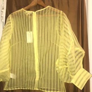 The Sang Top